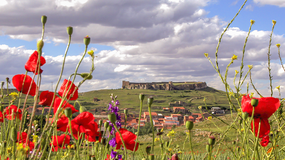 Casa Ramiro - foto del castillo de Cedrillas